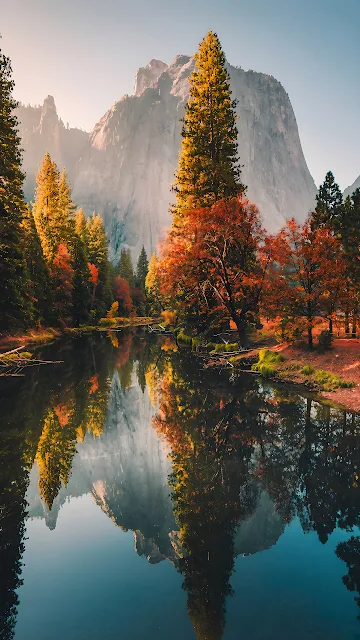Granite peak of El Capitan and orange autumn trees reflected in a calm river in Yosemite Valley.